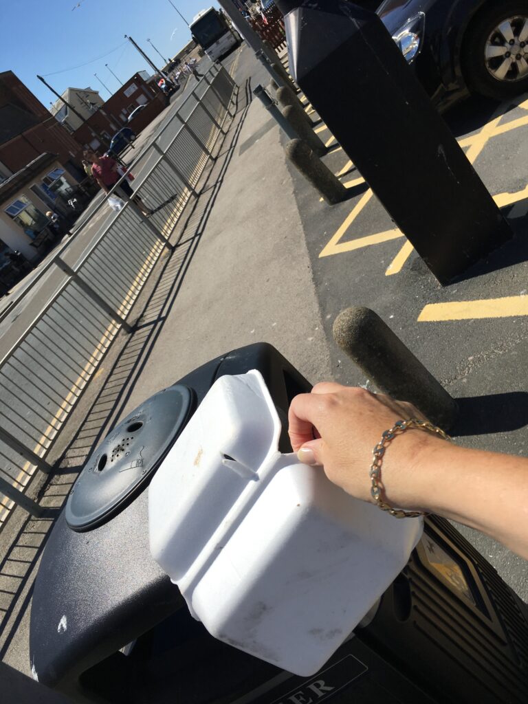 Cleveleys Lone Litter Pickers