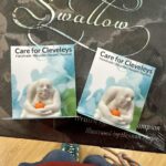The Sea Swallow Book and Halloween Ogres