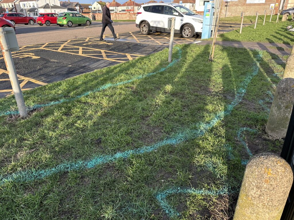 Marking out the areas for planting